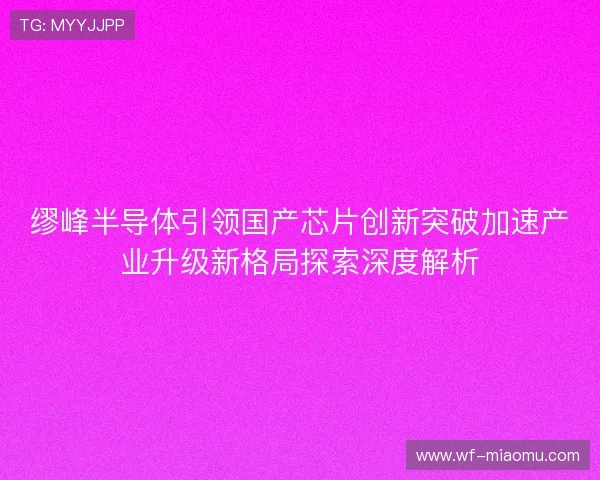 缪峰半导体引领国产芯片创新突破加速产业升级新格局探索深度解析 缪峰半导体引领国产芯片创新突破加速产业升级新格局探索深度解析